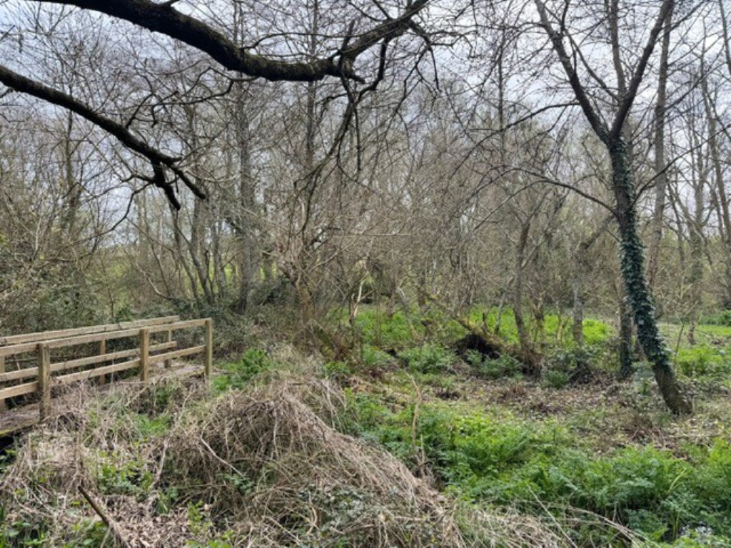 Lot: 102 - OVER TWO ACRES OF LAND - Mature shrubs and trees